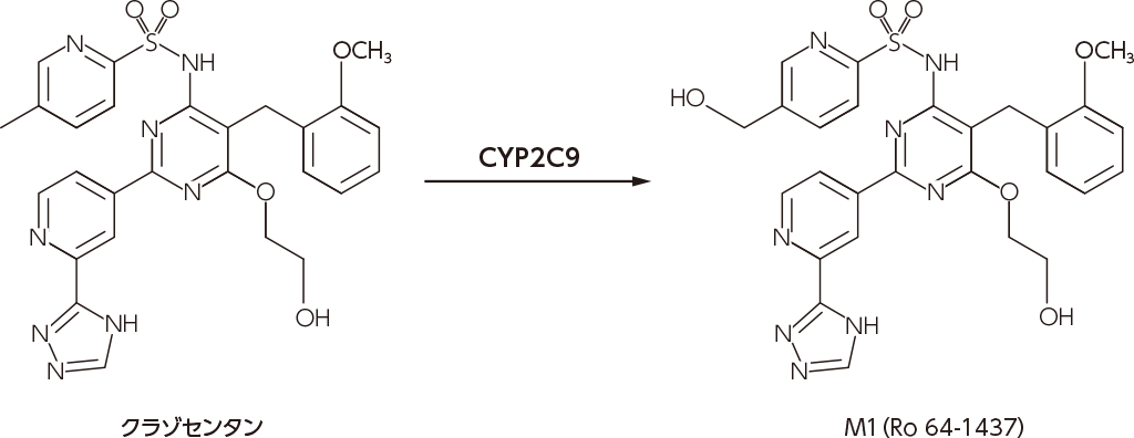 クラゾセンタンから代謝物M1への生体内変換